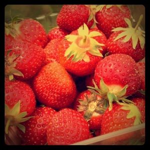 Meet your Posher, Abbey